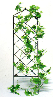 Plotek X - 175cm